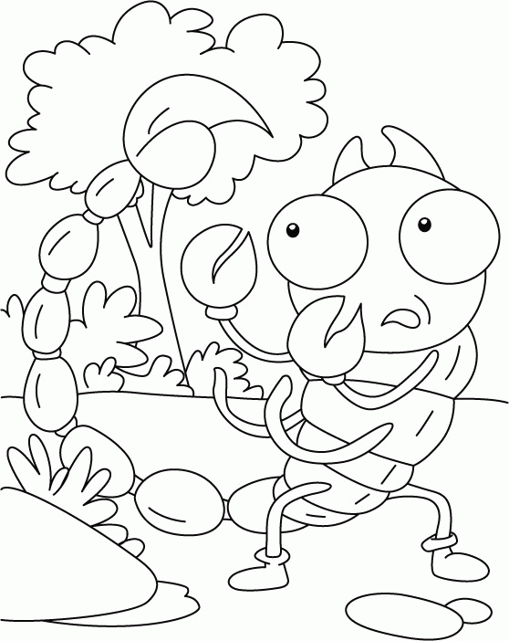 Skorpiony kolorowanki